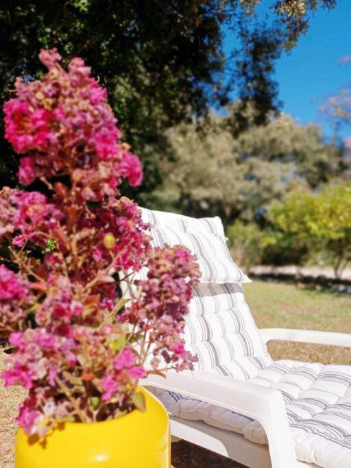 Studio Avec Jardin Entre Aix-En-Provence, Luberon Et Verdon Peyrolles-en-Provence Kültér fotó